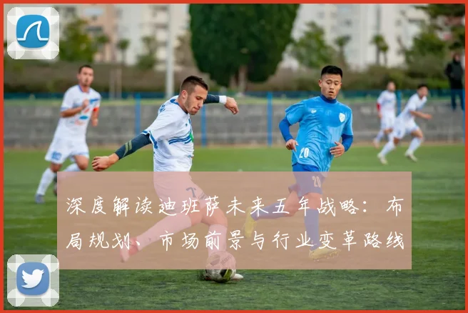 深度解读迪班萨未来五年战略:布局规划、市场前景与行业变革路线图